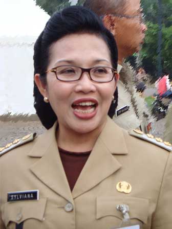 Jokowi Tegaskan Sylviana Hanya Plh Kepala Satpol PP