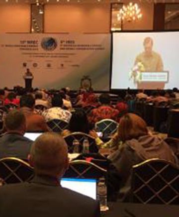 Pemerintah Fasilitasi Swasta untuk Kembangkan EBT