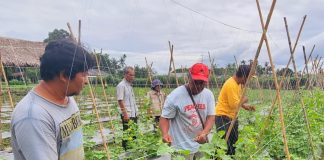 Pabrik AQUA Langkat Giatkan Pertanian Ramah Lingkungan