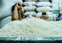 Amran Bantah Isu Beras Langka: Gudang Bulog Meluap, Stok 5,3 Juta Ton Tertinggi Sepanjang Sejarah