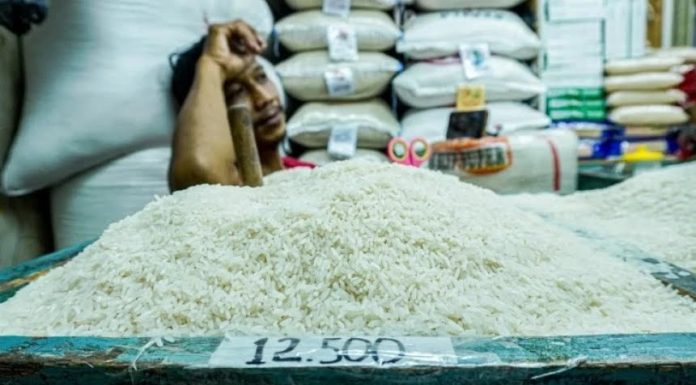 Amran Bantah Isu Beras Langka: Gudang Bulog Meluap, Stok 5,3 Juta Ton Tertinggi Sepanjang Sejarah