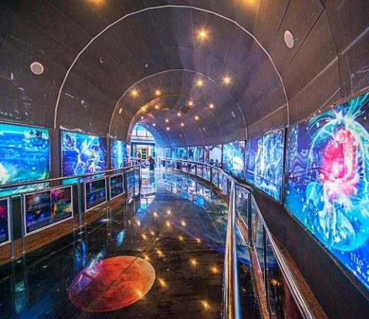 Minat Warga Membludak, Penjualan Tiket Planetarium Jakarta Dibagi Online dan Langsung